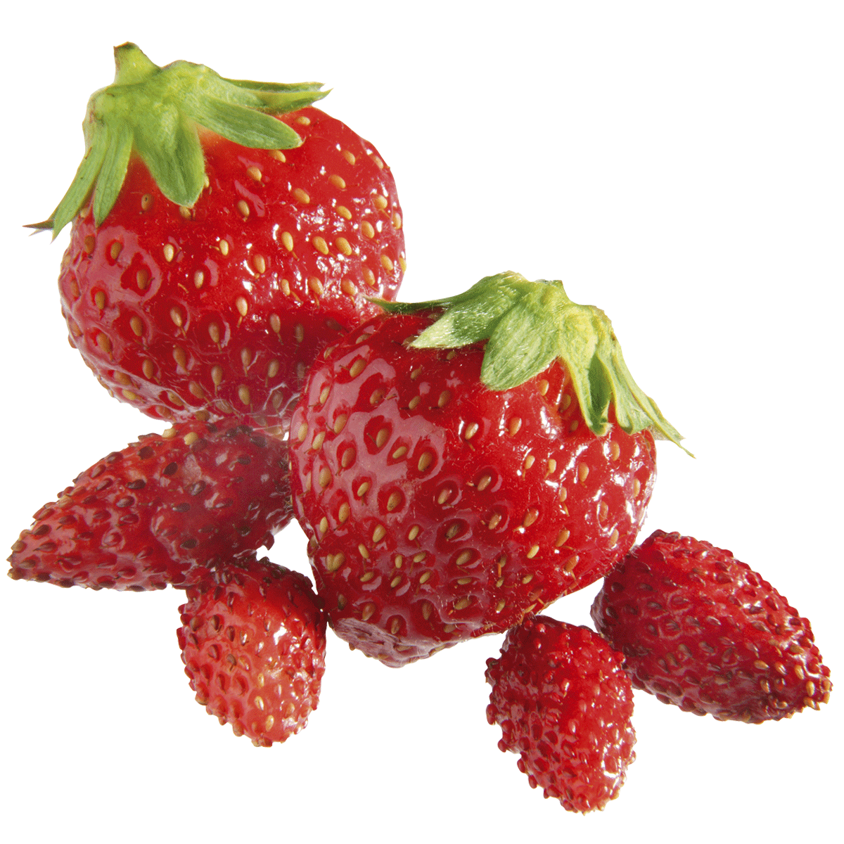 Fruchtpüree Erdbeere
