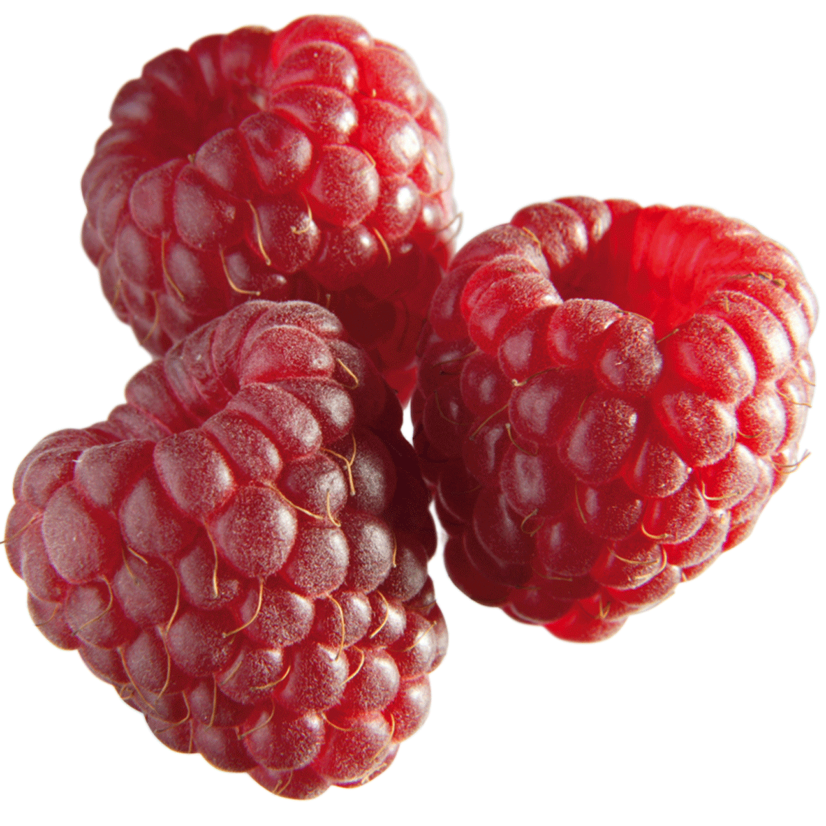 Fruchtpüree Himbeere