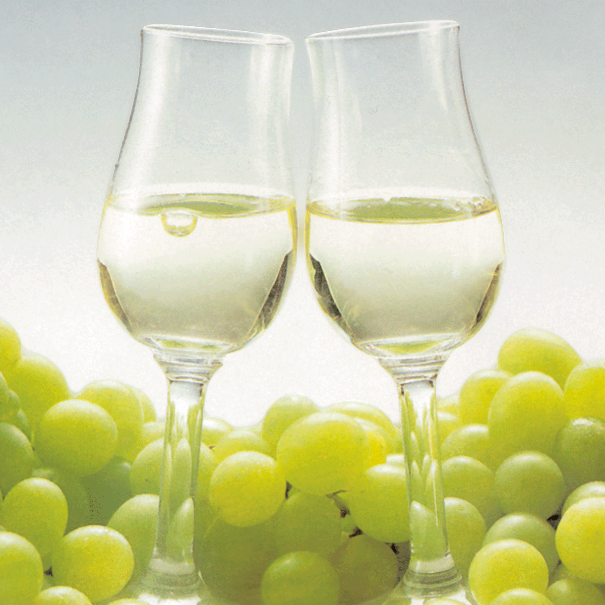 Royal Marc Champenois