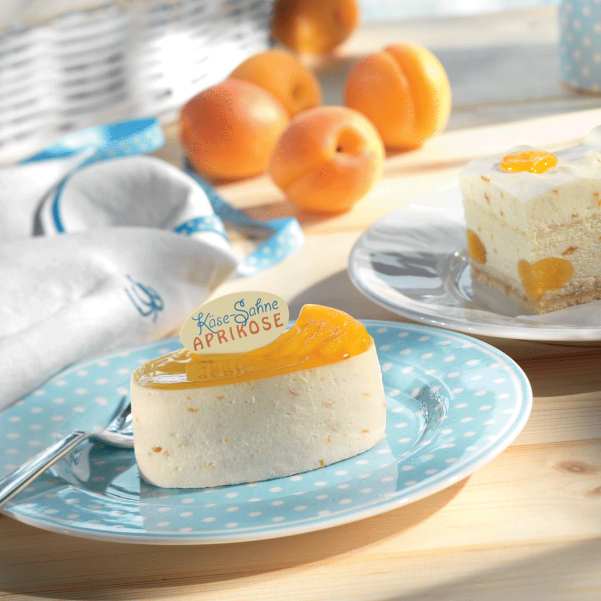 Alaska-express Käse-Sahne Aprikose
